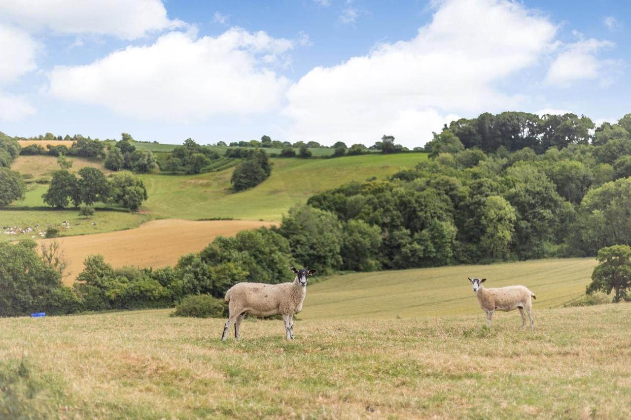 Wood Cottage Tenbury Εξωτερικό φωτογραφία