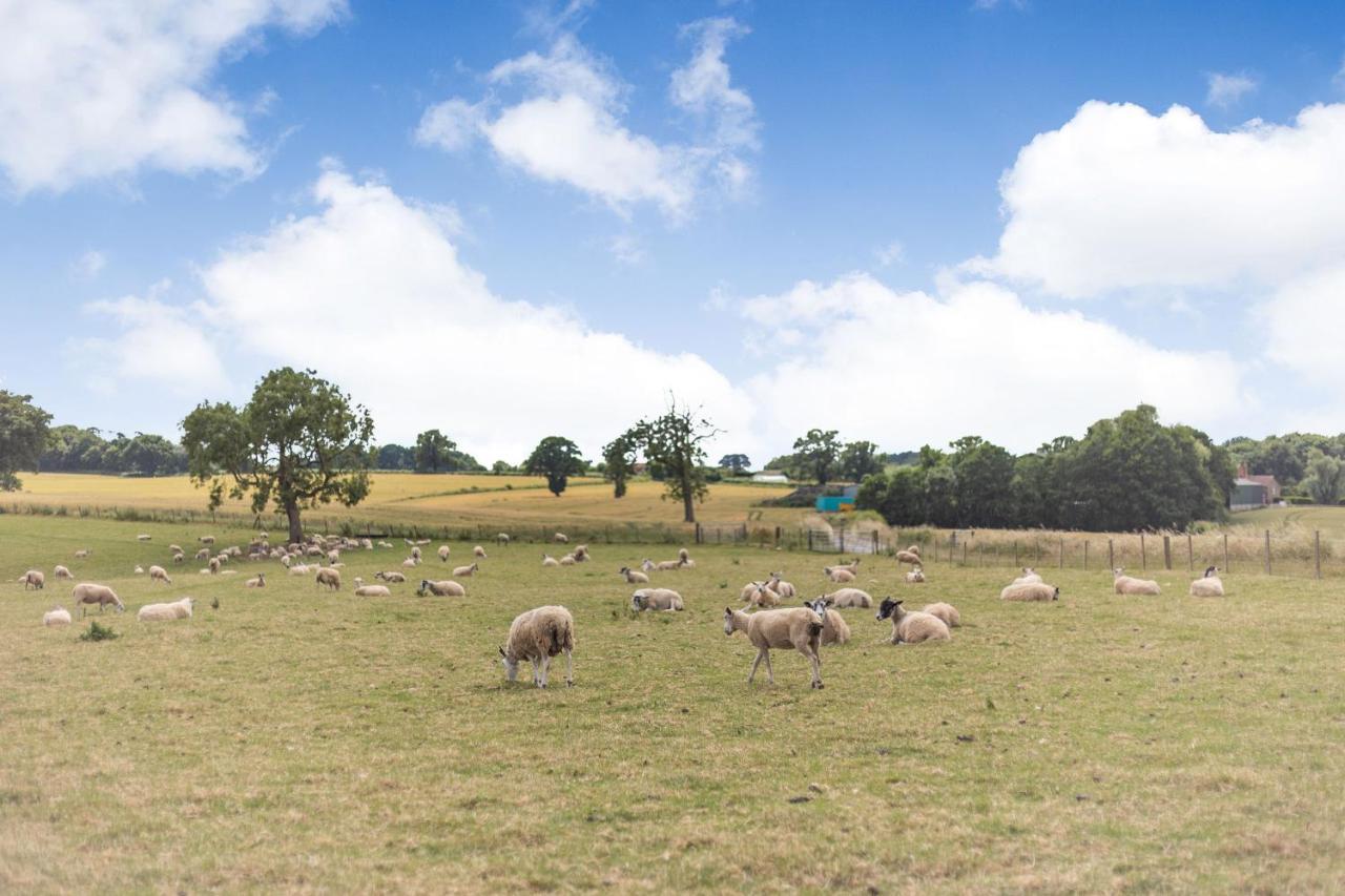 Wood Cottage Tenbury Εξωτερικό φωτογραφία